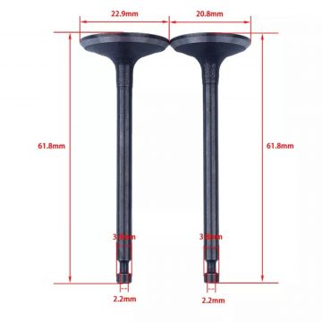 Supape motocoasa Honda GX 100